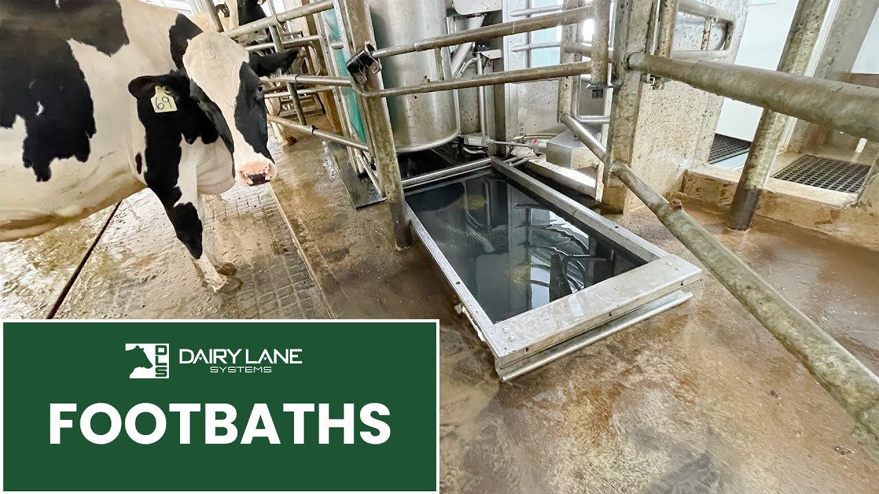 DLS Footbath - Improve Your Cows Hoof Health