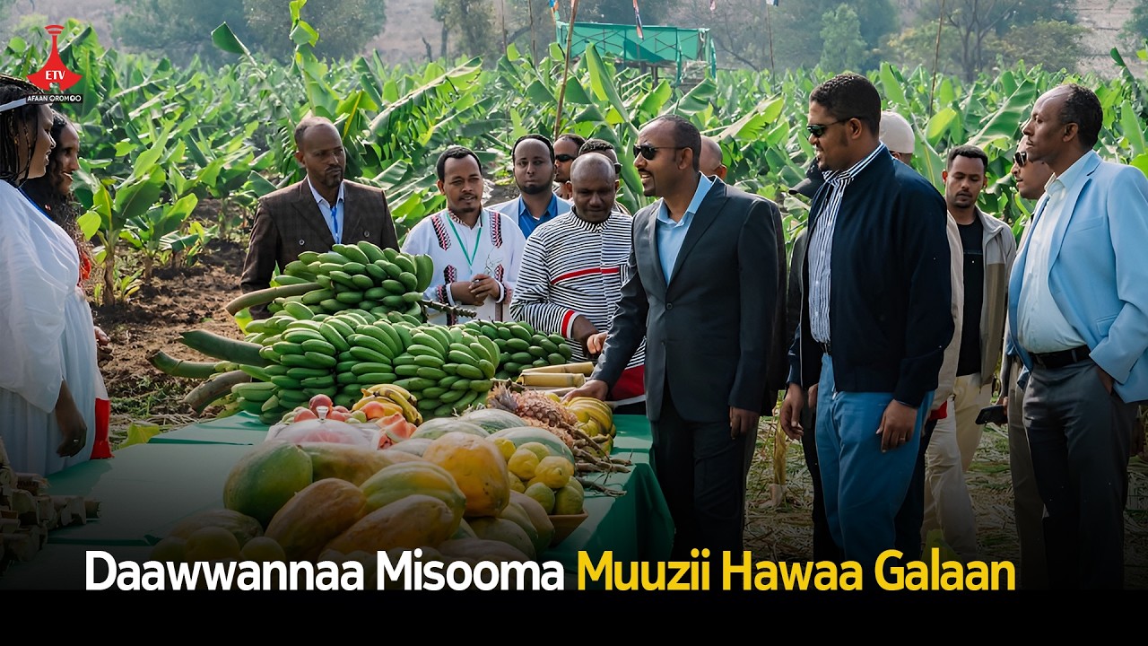 Daawwannaa Misooma Muuzii Hawaa Galaan  etv |Ebc |Etv Afaan Oromoo|PMAbiyAhmed |DembiDollo