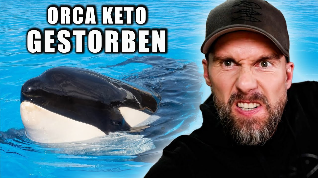VIERTER ORCA in 3 JAHREN GESTORBEN! Reaktion auf Keto & Loro Parque Inhaber | Robert Marc Lehmann