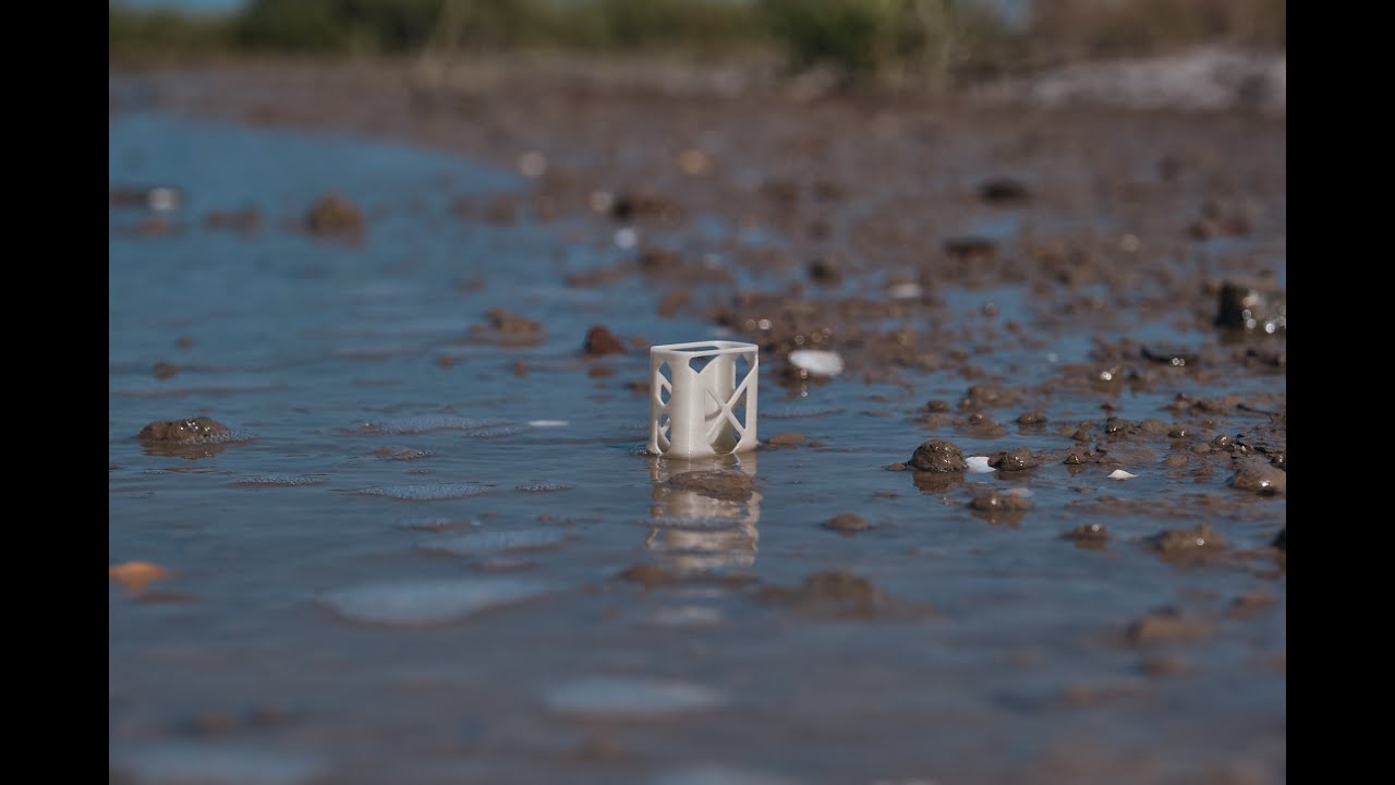 Seed darts deployed by drones