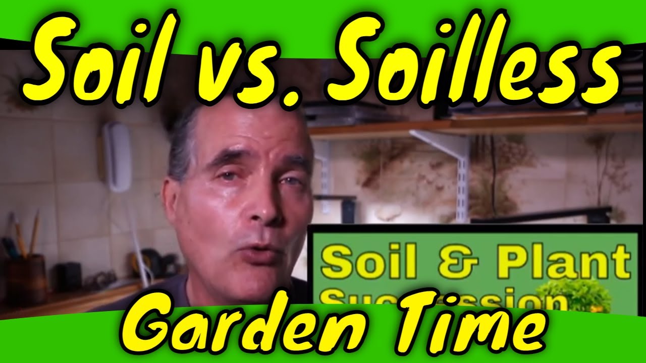 Soil vs  Soilless Mix