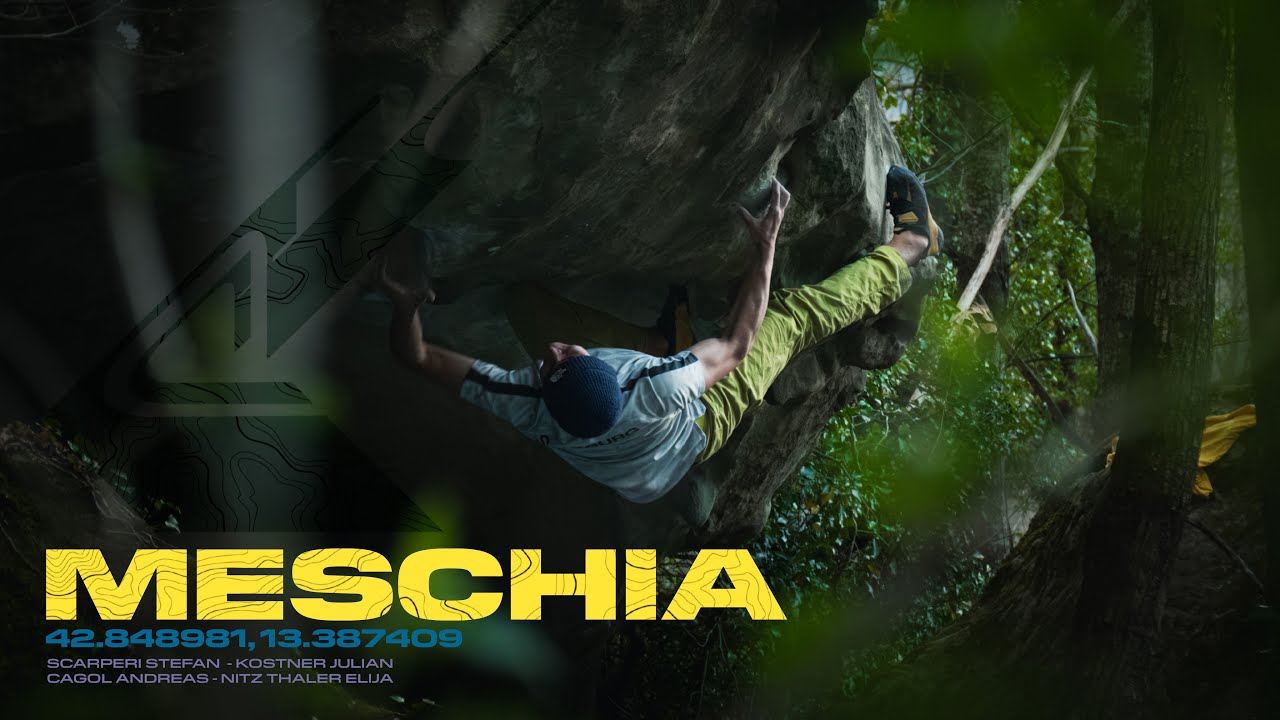 Critical Conditions | Episode I | Meschia