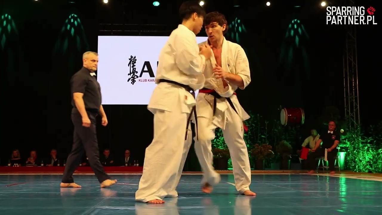 G. Fekete vs K. Suzuki Kokoro Cup 18 | SparringPartner