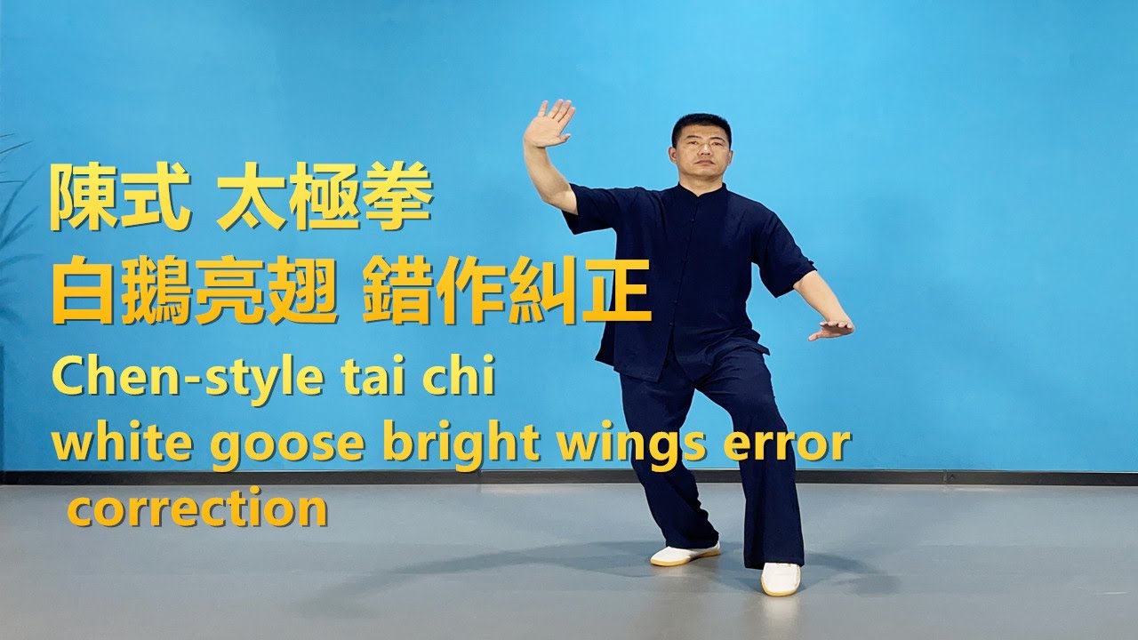 陳式太極拳，白鵝亮翅錯誤糾正|黃剛老師教學Chen-style Taijiquan, White Goose Bright Wings Error Correction