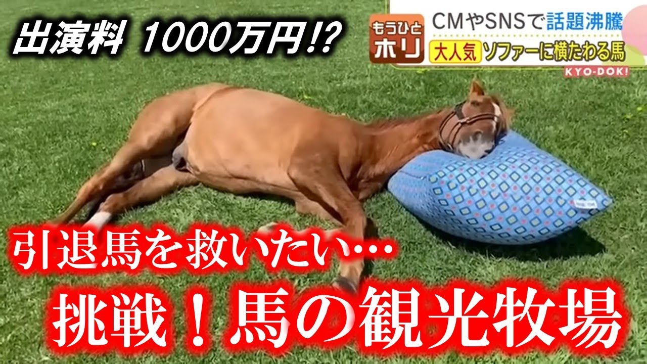 「使い方わかっているんだな」…牧場で目にした元競走馬の脱力系ニュースを深堀り
