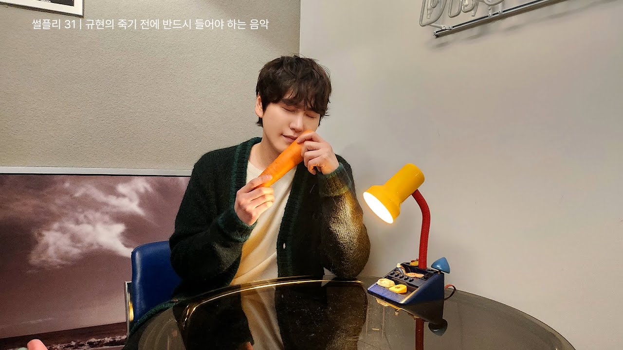 [𝐩𝐥𝐚𝐲𝐥𝐢𝐬𝐭] 규현의 죽기 전에 반드시 들어야 하는 음악 | 썰플리