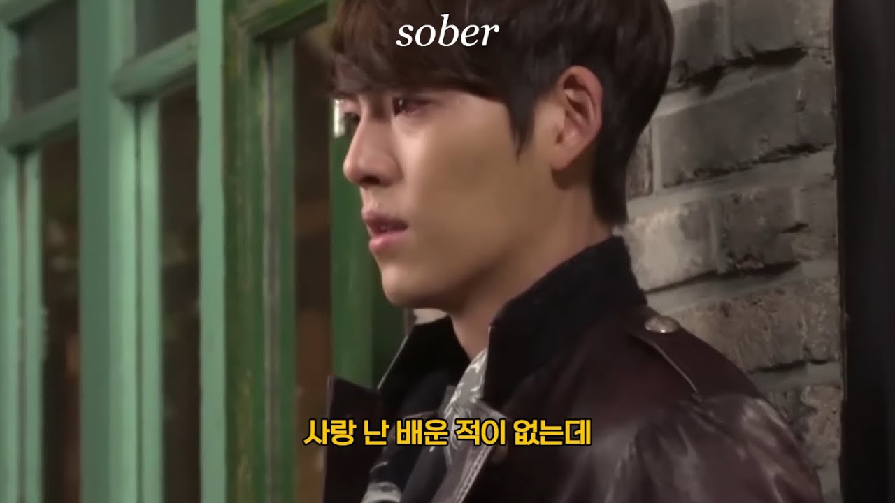 ❤️‍🩹🩹누가 교육과정에 사랑 좀 넣어줘라 | 차가운 체리 - 성장통 2 [가사/해석/자막/lyrics]