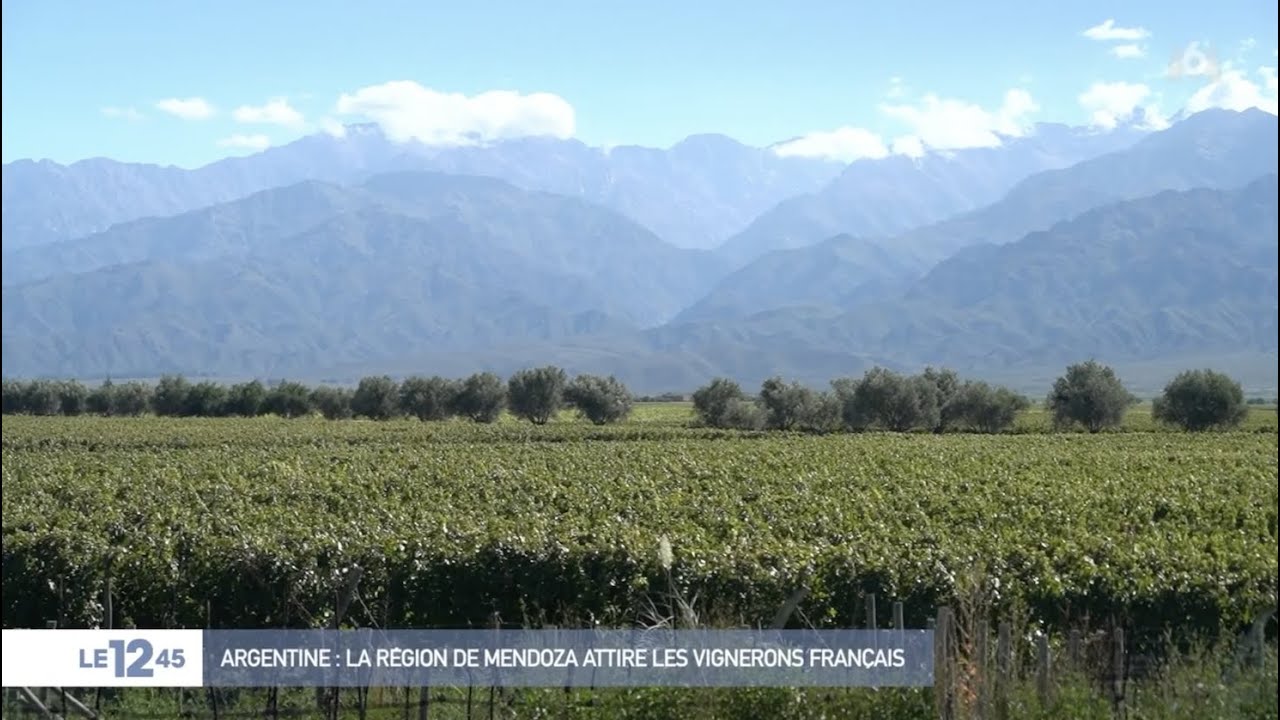 Ces vignerons français partis s'installer en Argentine