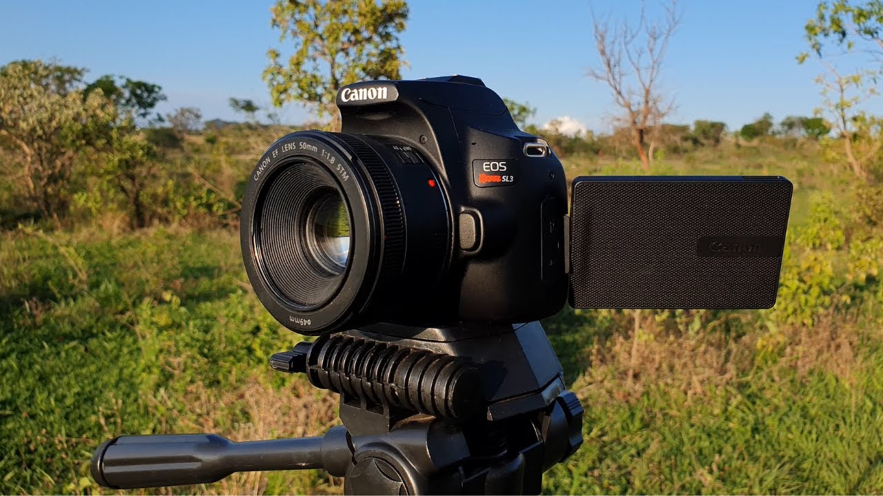 Tem salvação pro 4k da Canon SL3?