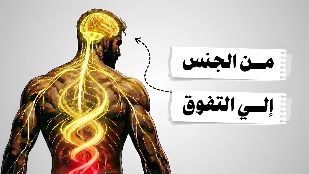 فن تحويل الطاقه الجنسيه | nofap 👑