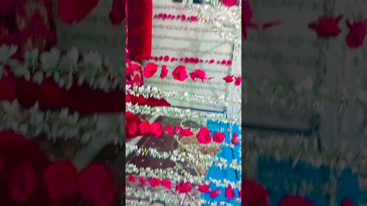 Al kareem flowers shop Call ☎️ 6363520423 