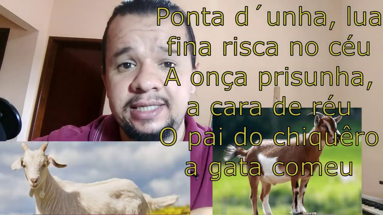 Arrumação (Futucatuia)- Elomar figueira Mello (parte I- Análise da letra)