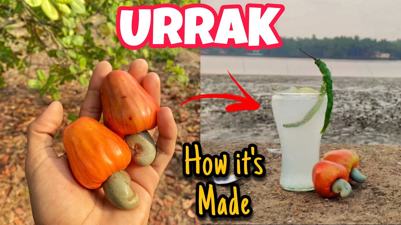 Urrak & Feni - Goa's Local Alcohol | How It's Made + Urak Cocktail Recipe | Cashew Feni | Desi Daru