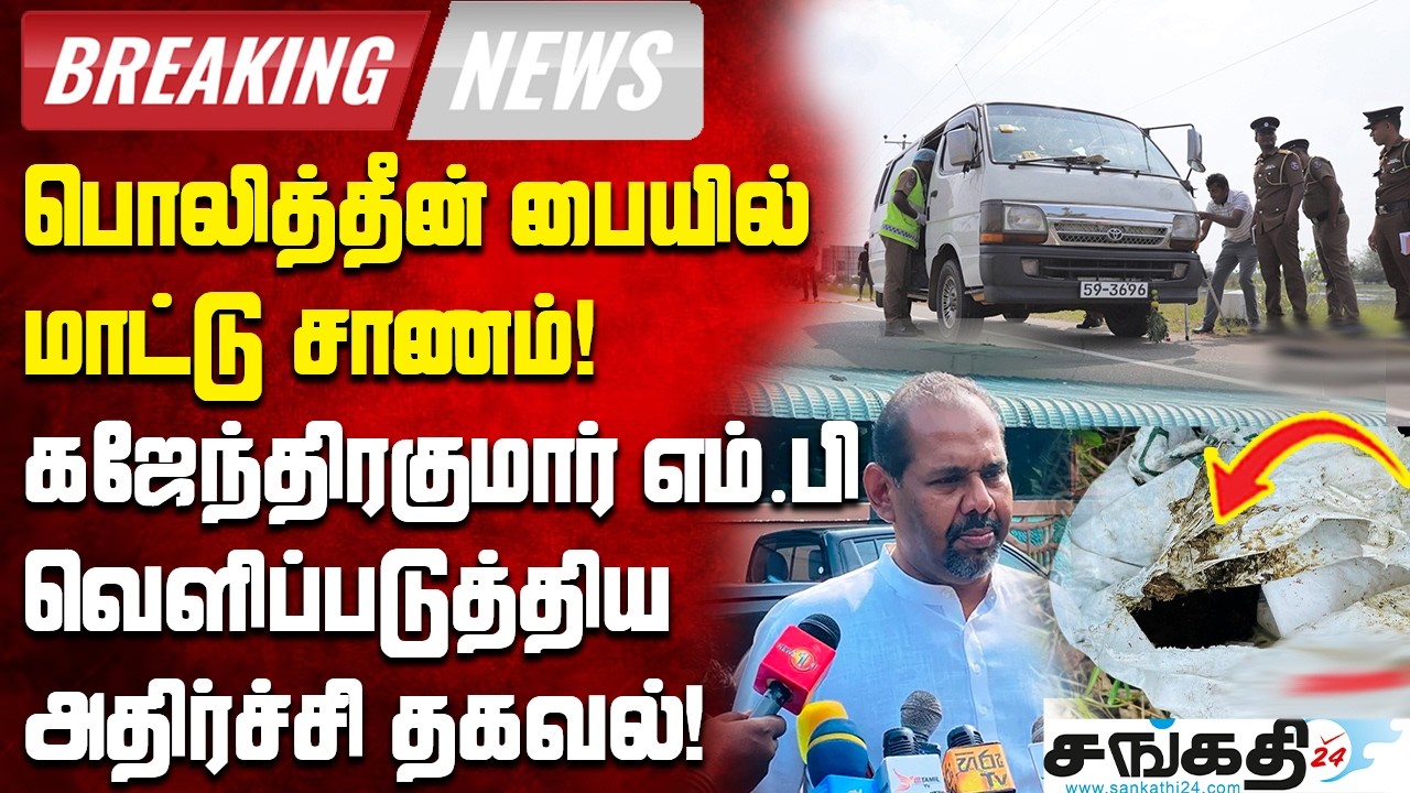 பொலித்தீன் பையில் மாட்டு சாணம் - கஜேந்திரகுமார் எம்.பி வெளிப்படுத்திய அதிர்ச்சி தகவல்!