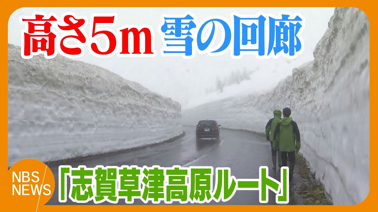 迫力！高さ5mの雪の壁『雪の回廊』　全長23km「志賀草津高原ルート」冬季閉鎖を解除