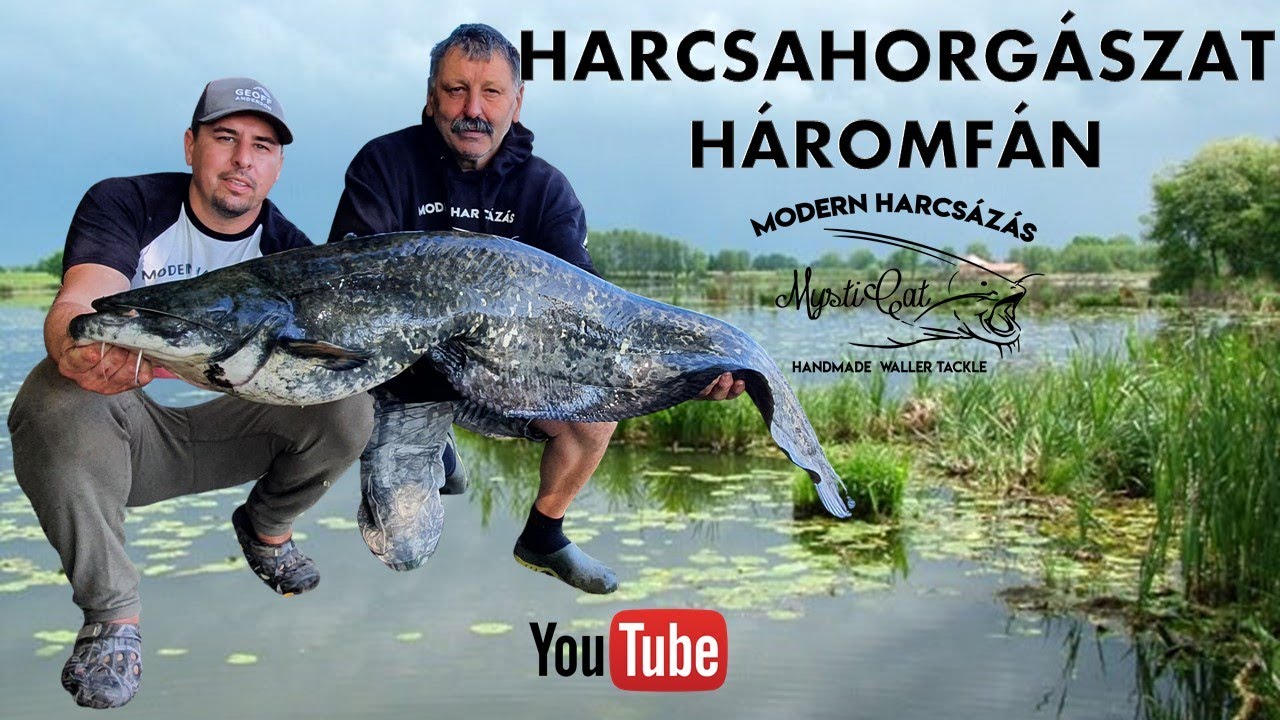 Harcsahorg&aacute;szat H&aacute;romf&aacute;n - Z&ouml;ld Pokol - Modern Catfishing at Green Hell Lake Haromfa (Mysticat Team)