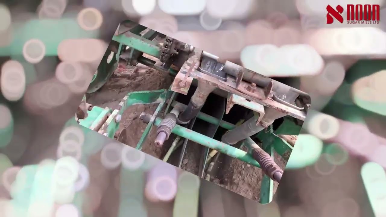 فروری کی بروقت کاشت — بہتر اگاؤ، مضبوط فصل اور زیادہ پیداوار