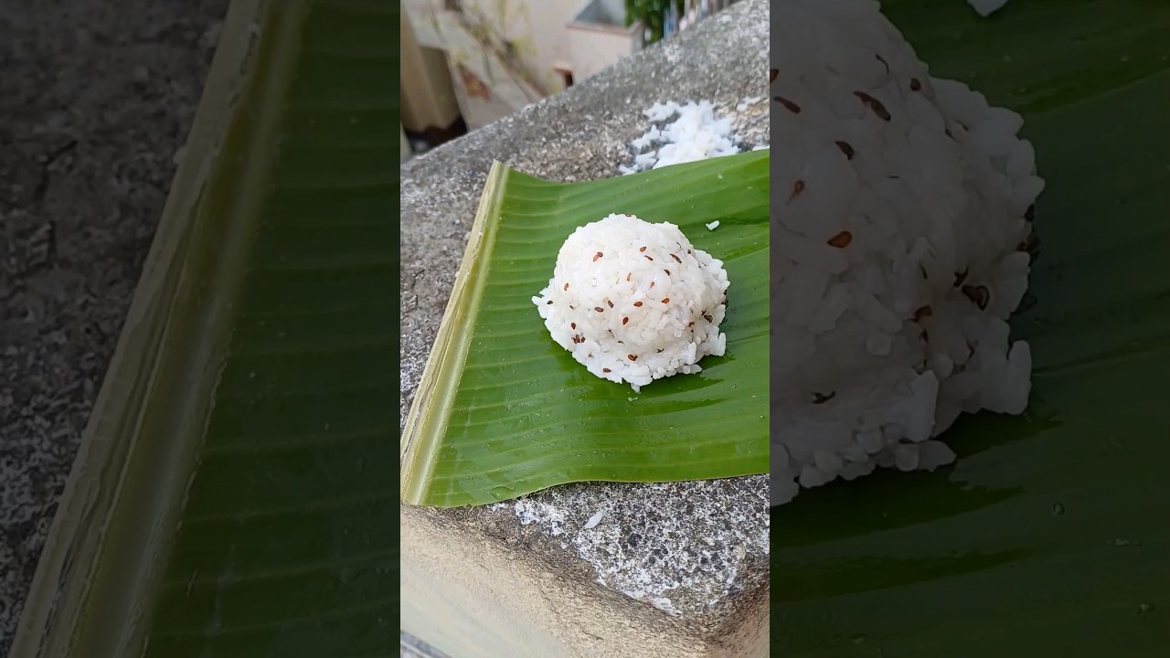 #saturDay #2024 #morning #lunchmenu #puppydog #dayinmylife #dayvlogs day vlog # tamilvlogs