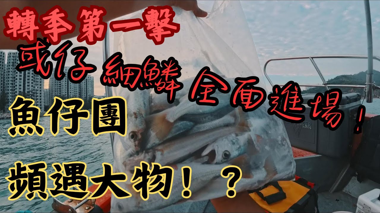 【新手釣魚日記】EP.11 開局半小時怪物頻出！｜䱛仔 細鱗正式加入賽季！？｜↓↓↓點擊咨詢欄總結釣況↓↓↓