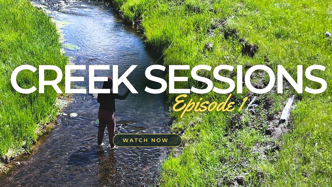 Fly Fishing for wild brown trout on one of our favorite spring creeks in Colorado!