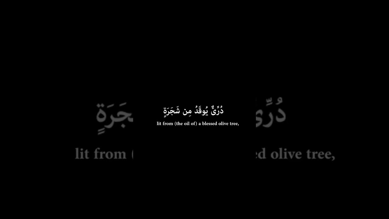 Sura An nur _ verse 35 || Muhammad Siddiq al Minshawi