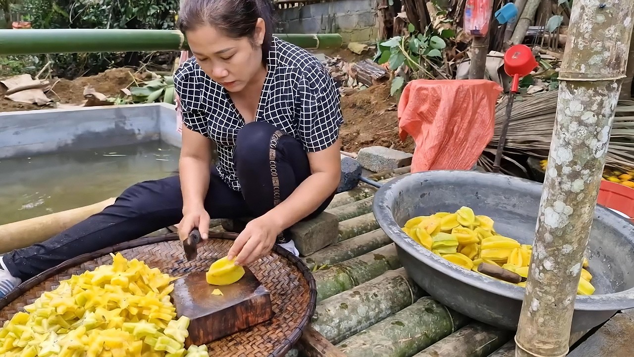 Poor Village Life: Harvesting Star Fruit to Make a Simple Sour Dish | Thom Rural Life