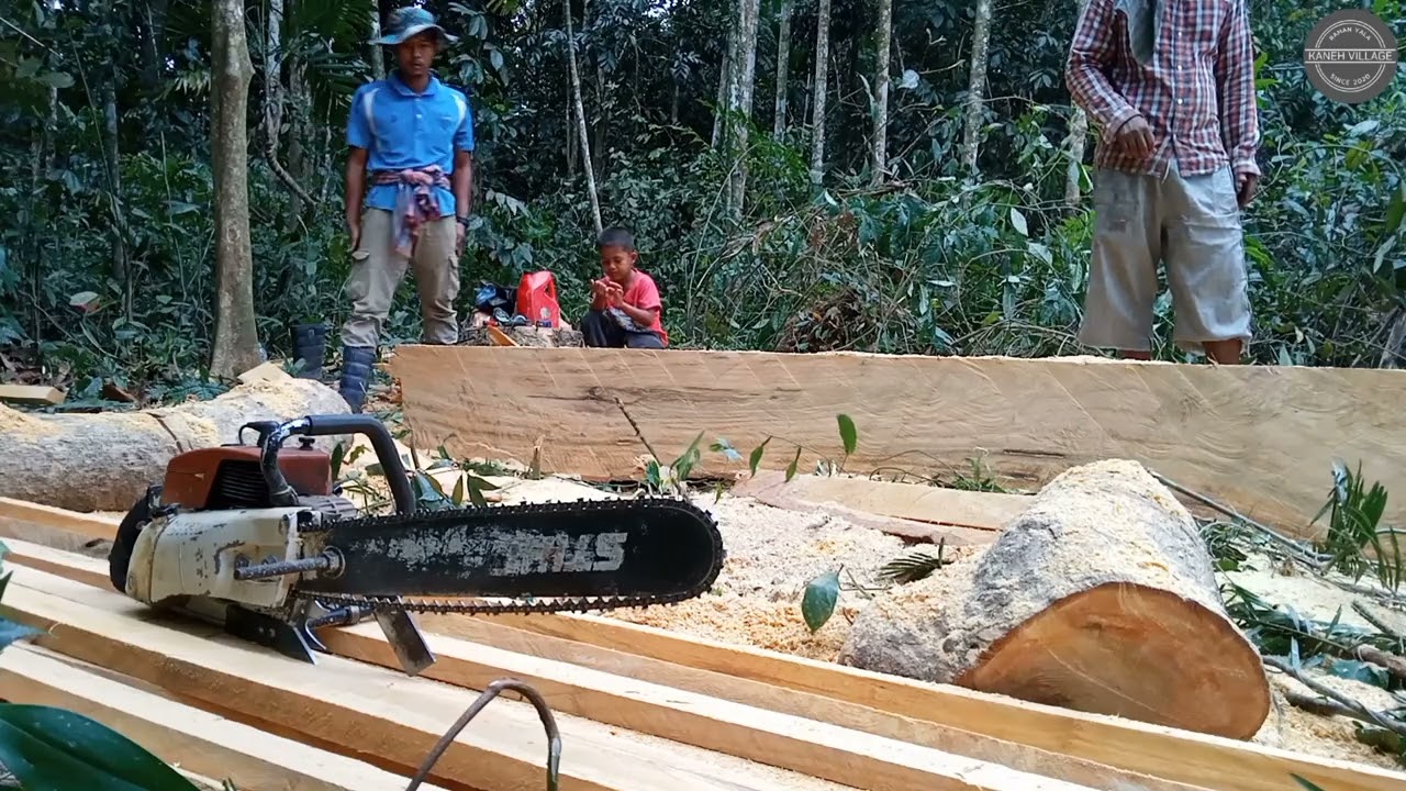 ทักษะซอยไม้โดยใช้รางข้าง | เลื่อยยนต์ STIHL
