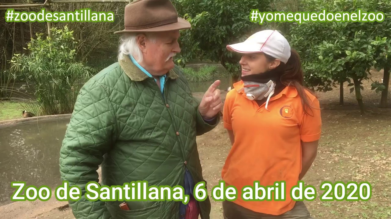 Viviendo en un Zoo