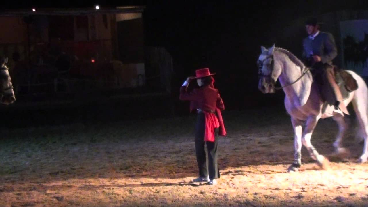 AIGUES MORTES DANS LA GARD ET LE CABARET DES DUNES