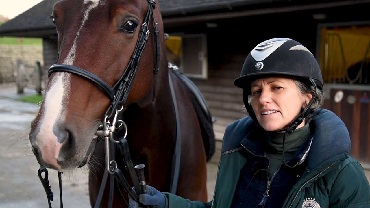 In-Hand Dressage Therapy Course Online