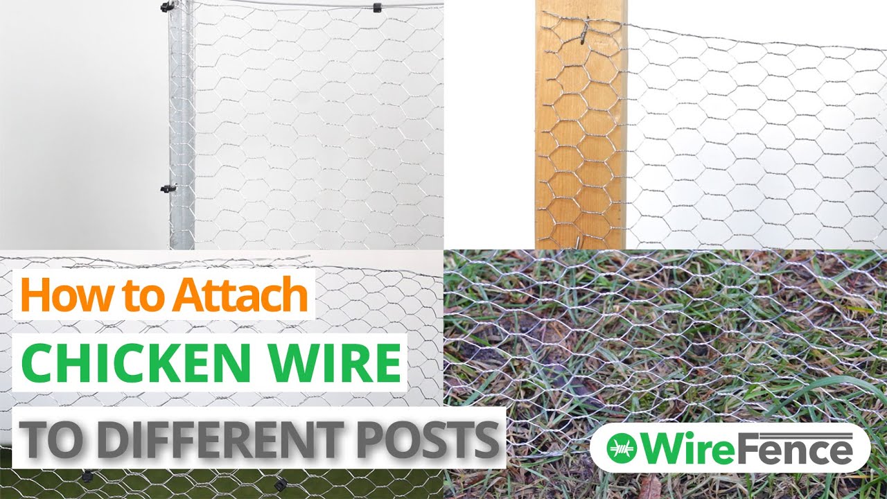 How to Attach Chicken Wire to Posts and Different Materials (EASY METHOD) | WireFence