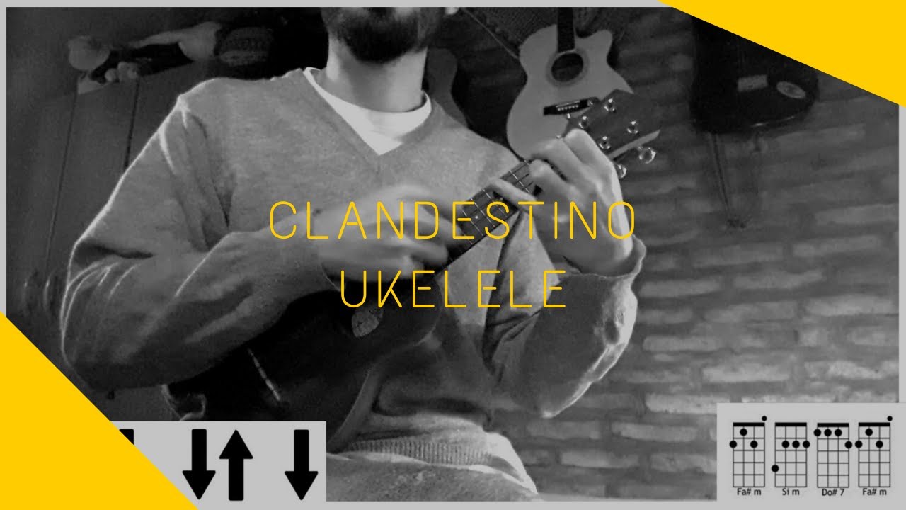 UKELELE | Clandestino - Manu Chao (tutorial/cover ukelele)