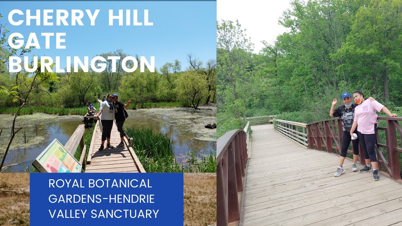 Nature Trails at Royal Botanical Garden