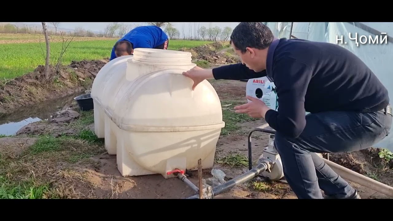 Ба воситаи обёрӣ қатраги об додани кулубник.
