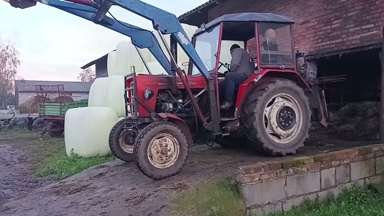 codziennie obowiązki cz1.
