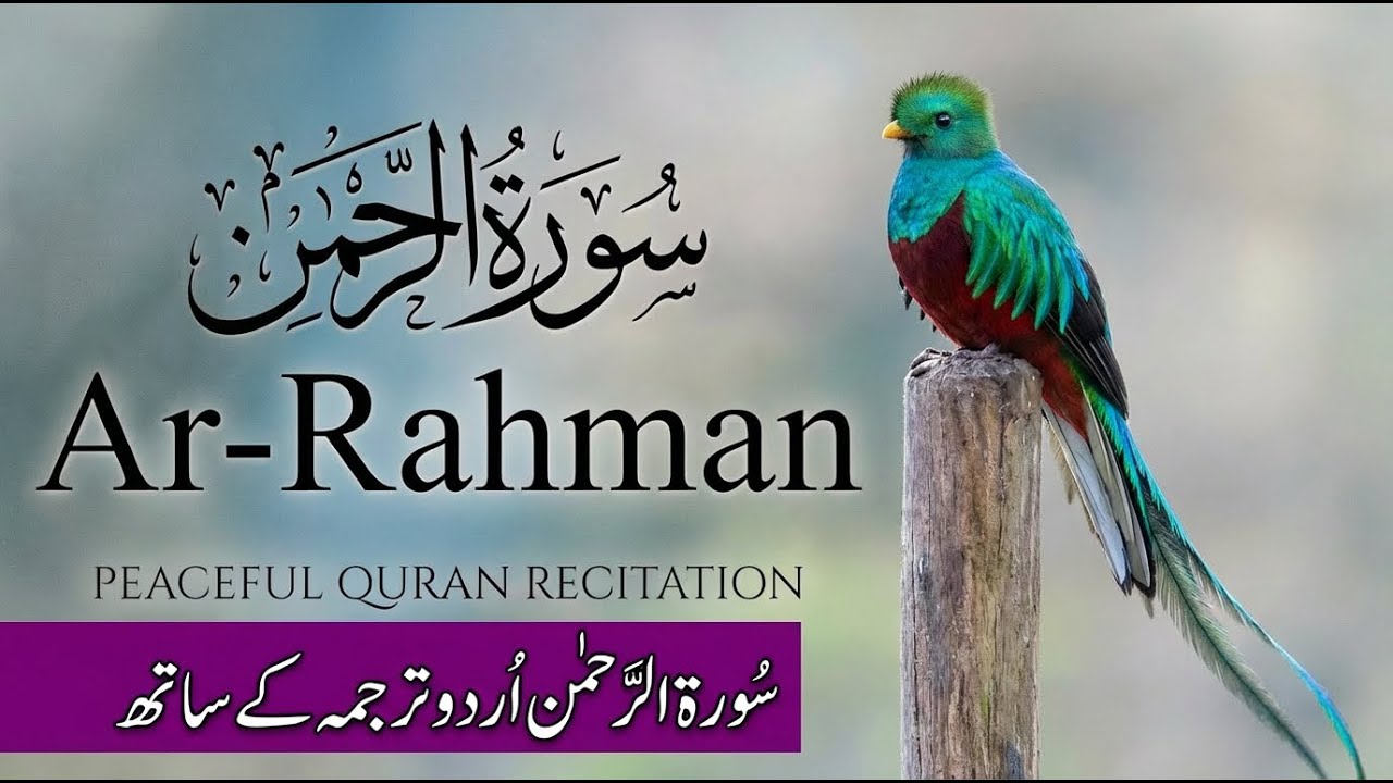 Surah Rahman with Urdu Translation Beautiful Tilawat by Qari Al Sheikh Abdul Basit Abdul Samad 720P