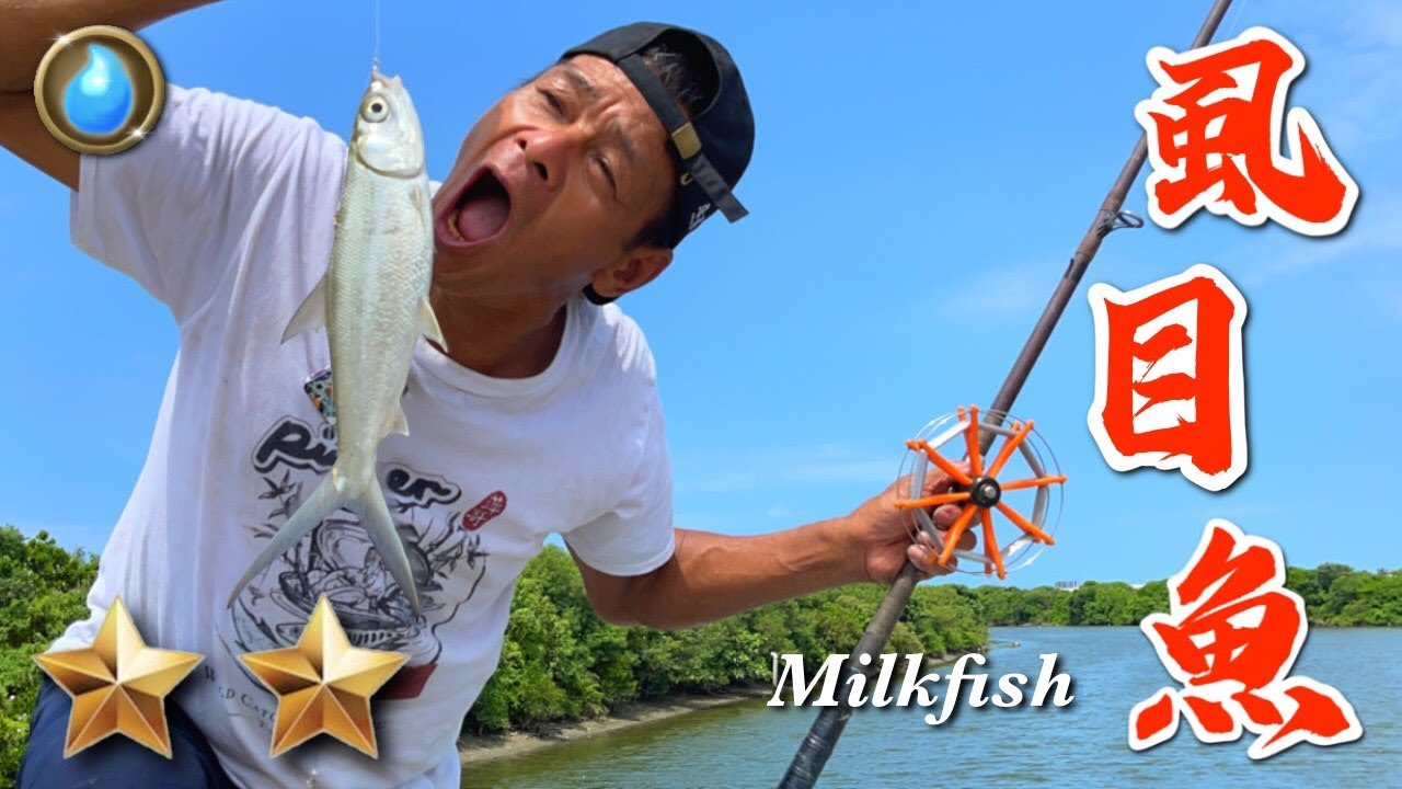 野味46集 | 虱目魚 | 豆豉 | 麻油麵線 | Milkfish | 萍哥Pinger