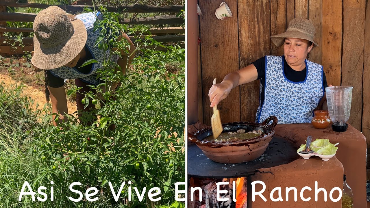 Cortando Mis Ingredientes Para Carnita De Puerco En Chile Verde
