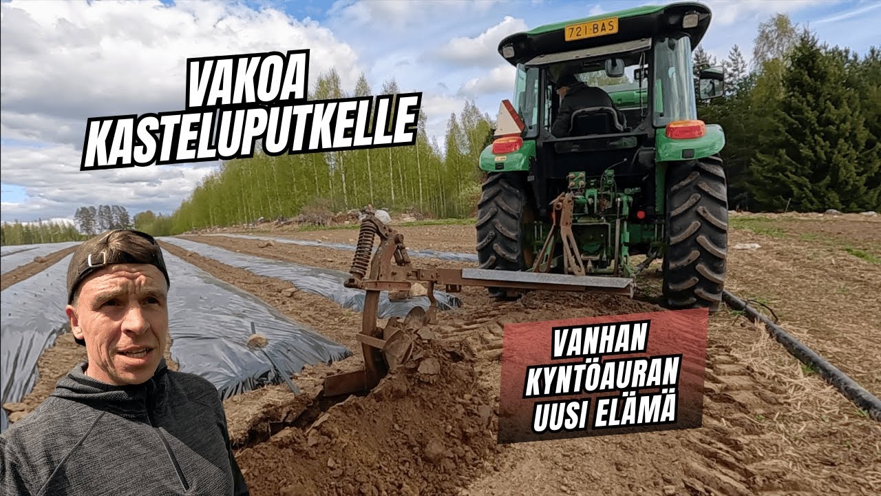 Kastelulinjat maahan tuunatulla kyntöauralla