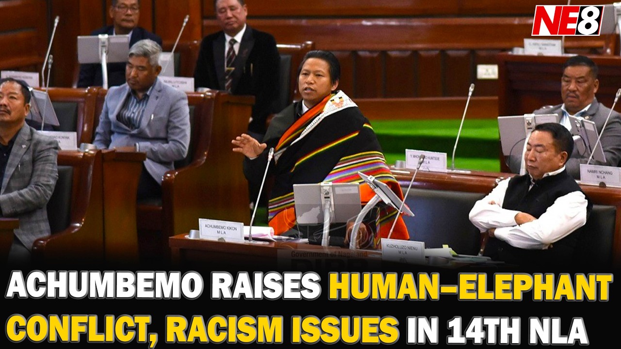 MLA ACHUMBEMO RAISES HUMAN–ELEPHANT CONFLICT, RACISM ISSUES IN 14TH NLA