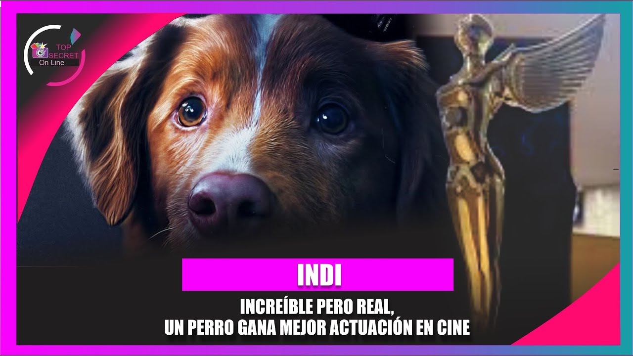 Indy mejor actuación de terror por Good boy, gana el Astra 2026 TOP