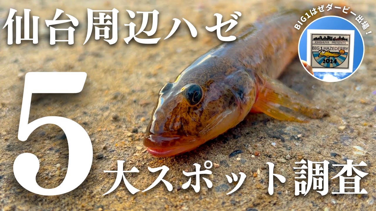 仙台周辺の有名ハゼ釣りスポット５選！大きなハゼはどこで釣れる？