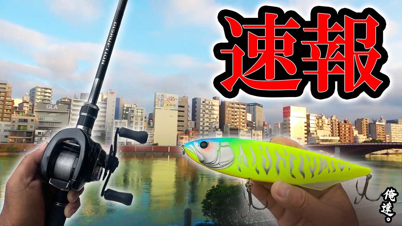 【速報】東京の海がボコボコに釣れ始めた模様！！！
