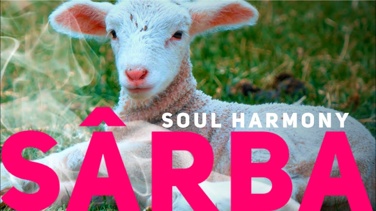 Soul Harmony 💚 Sarba  [ 528 Hz Music Therapy ] 🌿 Peace and Love 💚