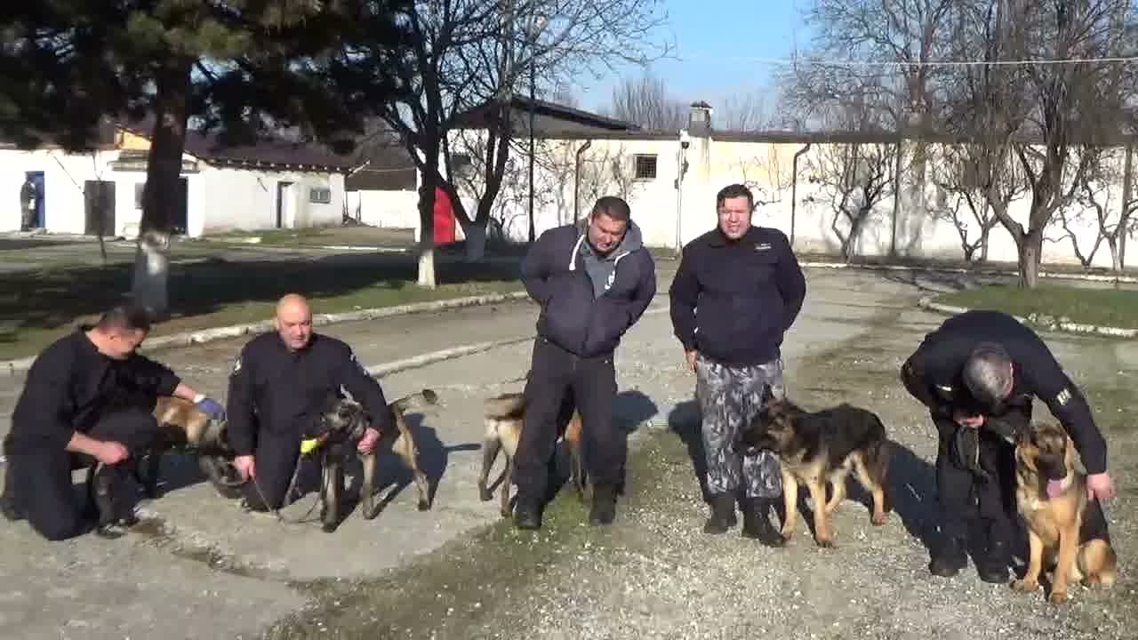 Bun Venit Lupilor Tineri din Jandarmeria Gorj