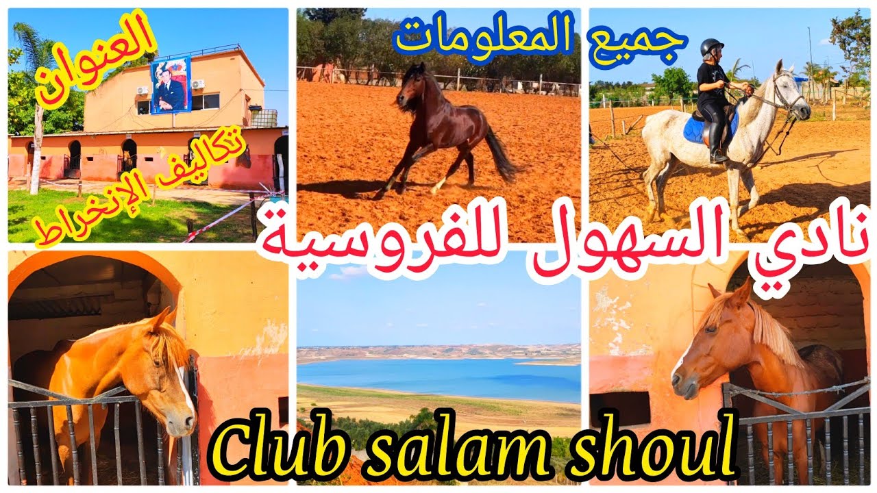 Club salam shoul de l'équitation🐴نادي 💥السهول للفروسية🔥دروس للتعلم📣استجمام💥جميع المعلومات هنا👆