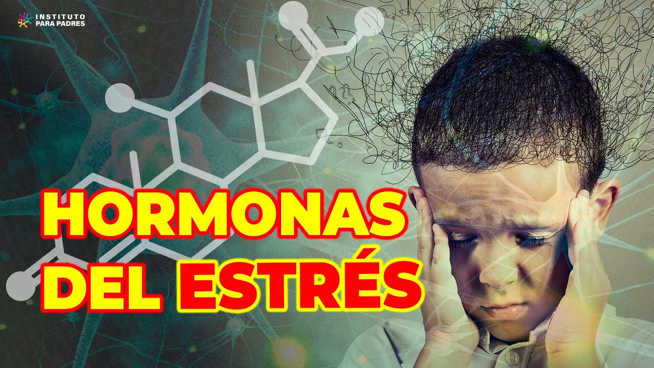 CUIDA A TU NIÑO DEL ESTRÉS TÓXICO - HORMONAS DEL ESTRÉS Y SUS CONSECUENCIAS