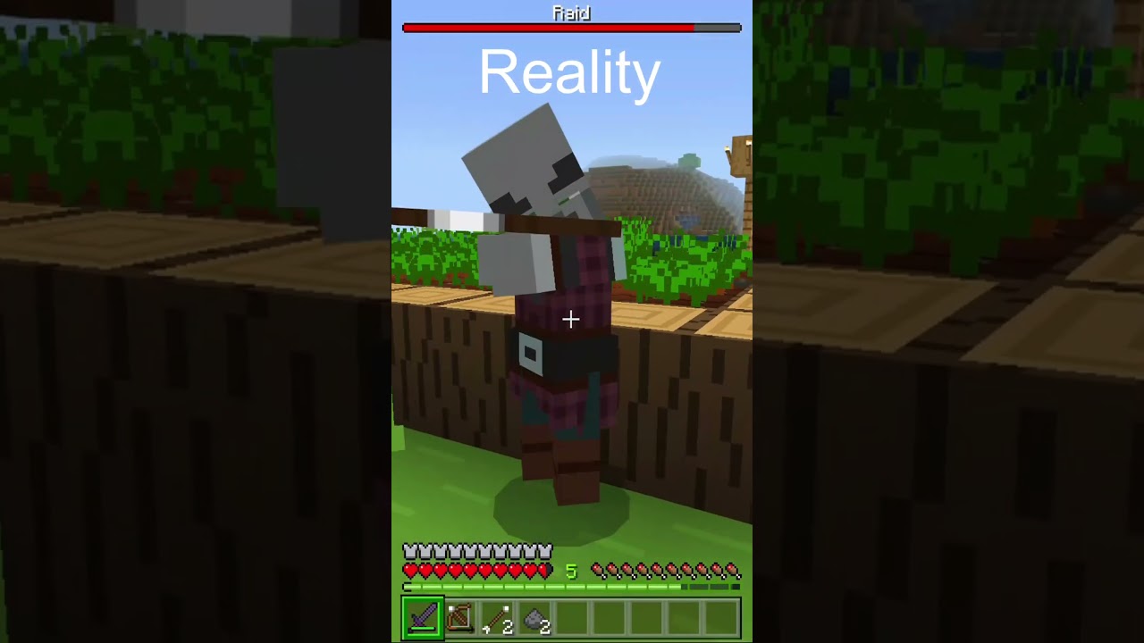 Minecraft ~ Expectation vs Reality ~ Minecraft Raid