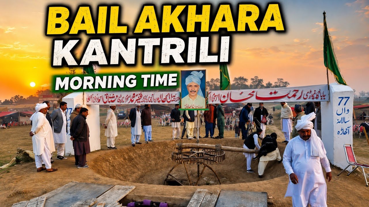 Live Bail Akhara kantrili 15 February 2026