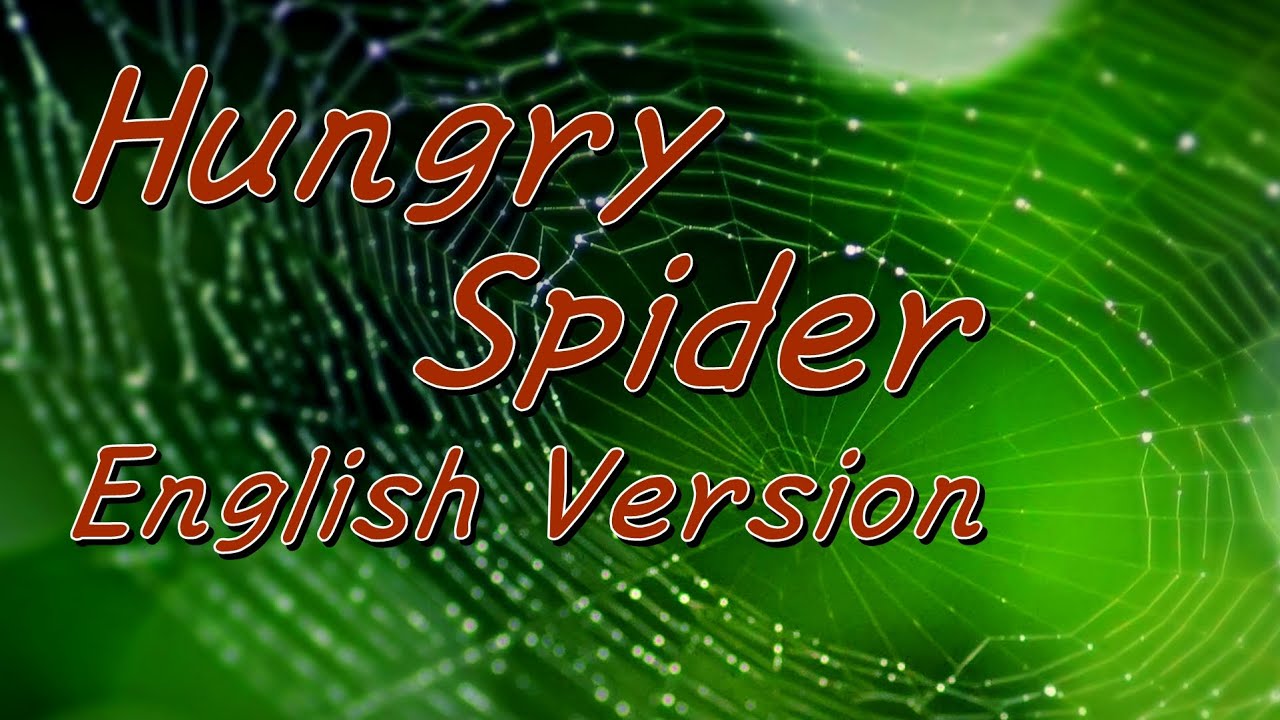 Hungry Spider English Version 槇原敬之 歌詞付